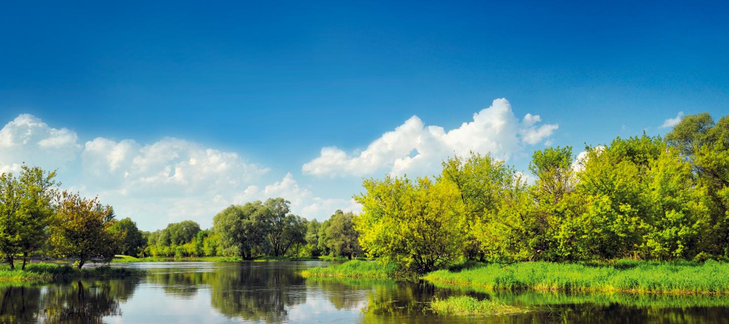 Abwasser-Landschaft